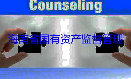 理委员会党资产监督管有福接受审海南省国有查调查委副书记王